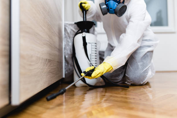Best Commercial Pest Control Services  in West Orange, TX