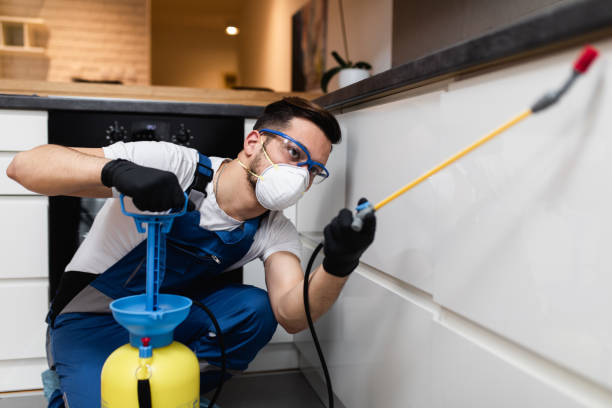 Best Cockroach Control Services  in West Orange, TX