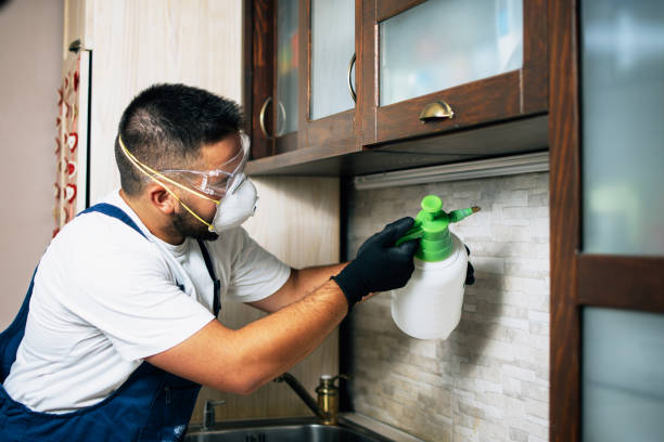 Best Residential Pest Control  in West Orange, TX