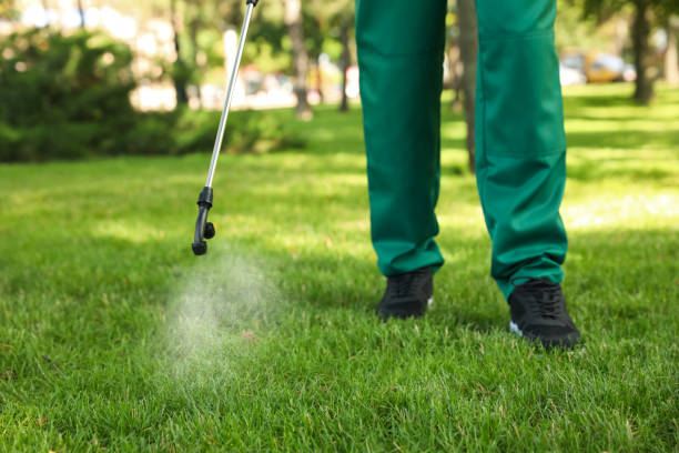 Best Pest Control for Businesses  in West Orange, TX